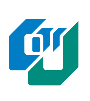 王SY