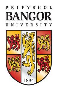 班戈大學